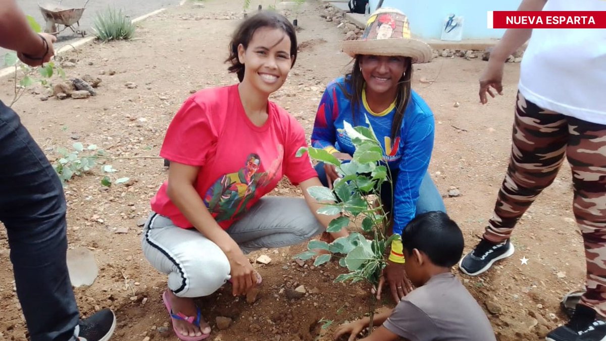 Hábitat y Vivienda tweet media