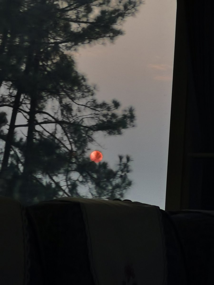 福利姬没吃饱·分享的黄推图片2 - 网红私拍内容