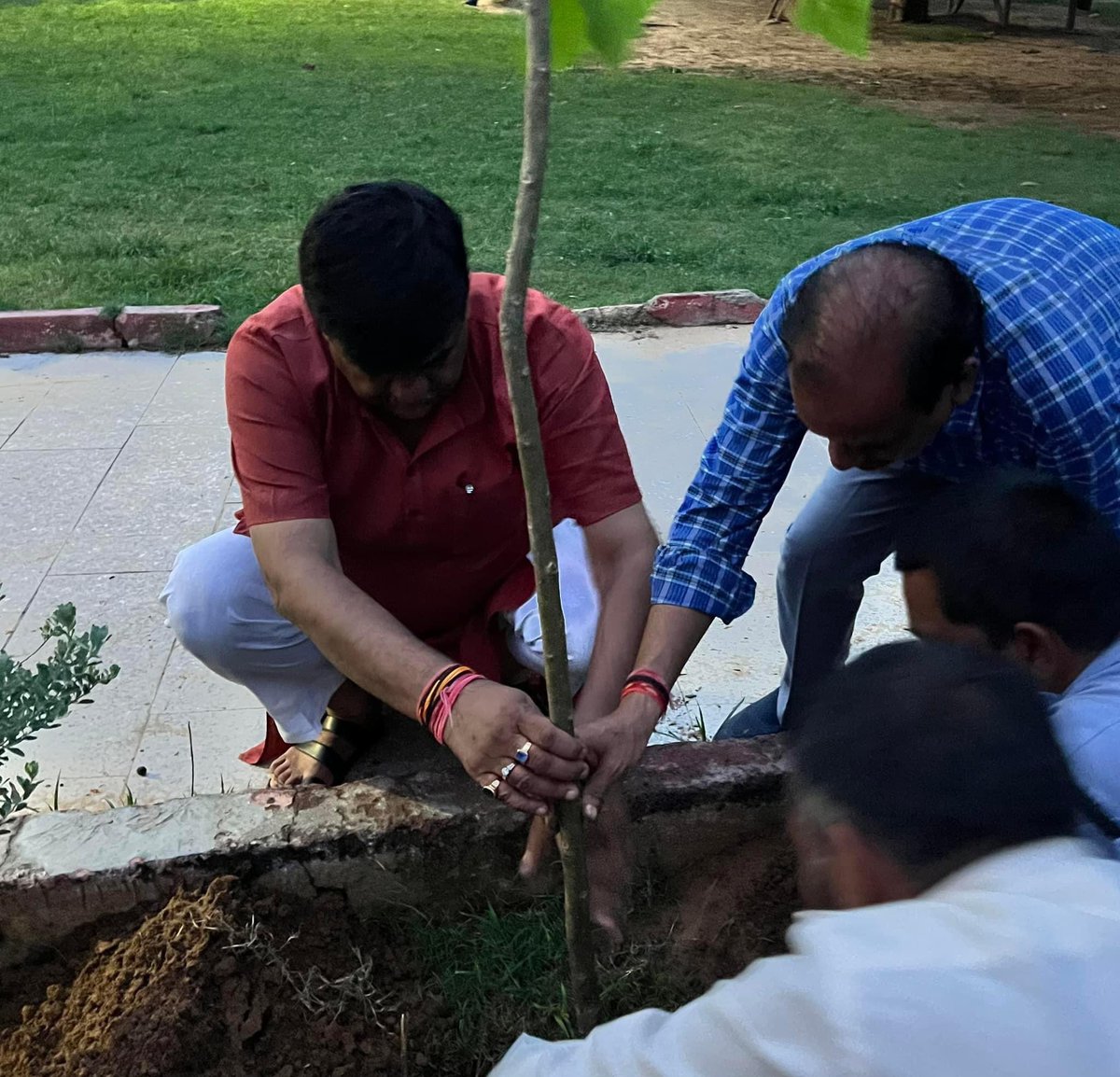 आज का पौधारोपण…नेहरू बाल उद्यान #जयपुर