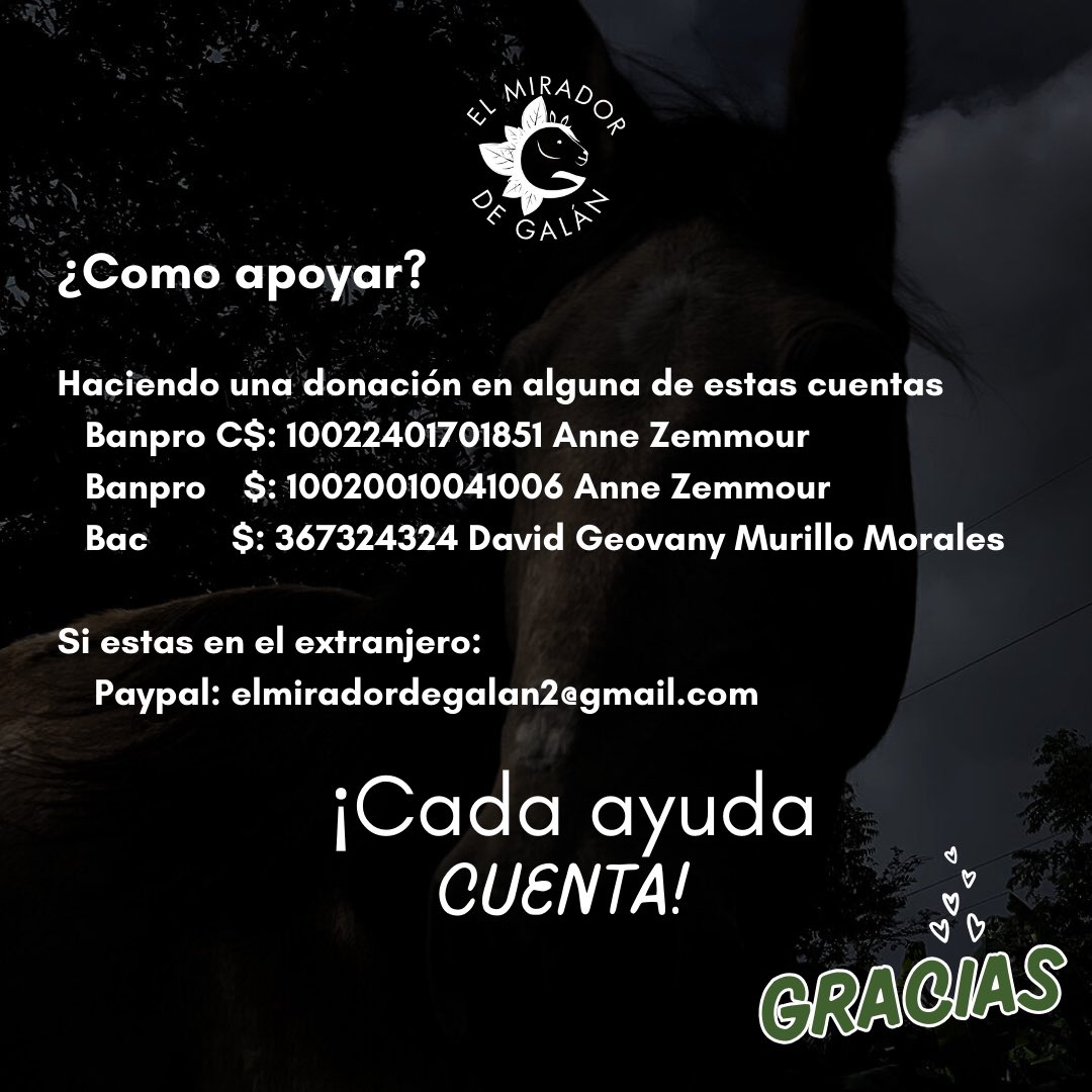 MiradorGalan's tweet photo. En busca de tu apoyo 🙏 https://t.co/MefLeGrhub