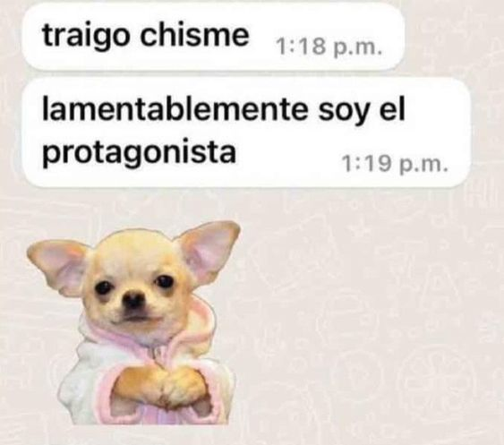 lo siento bros!