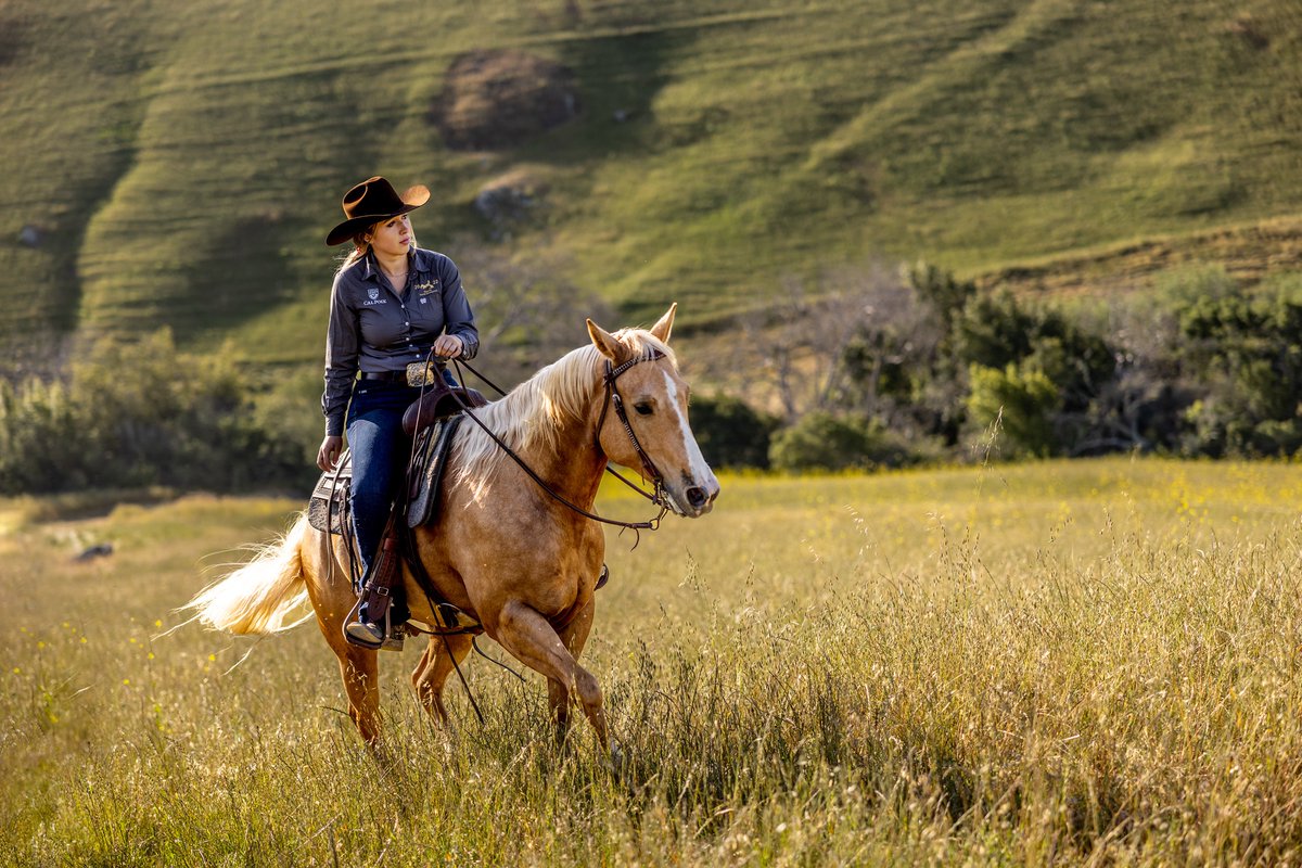 DougTruppe's tweet image. On assignment for #CalPoly #industry, #farming and #education by #TaddMyersPhoto. #DougTruppe #NationalDayOfTheCowboy #AntiBoredomMonth #outdoorsphotography #landscapephotography #portrait #portraiture #lifestyle #outdoors #greatoutdoors #landscape #horse #cowgirl