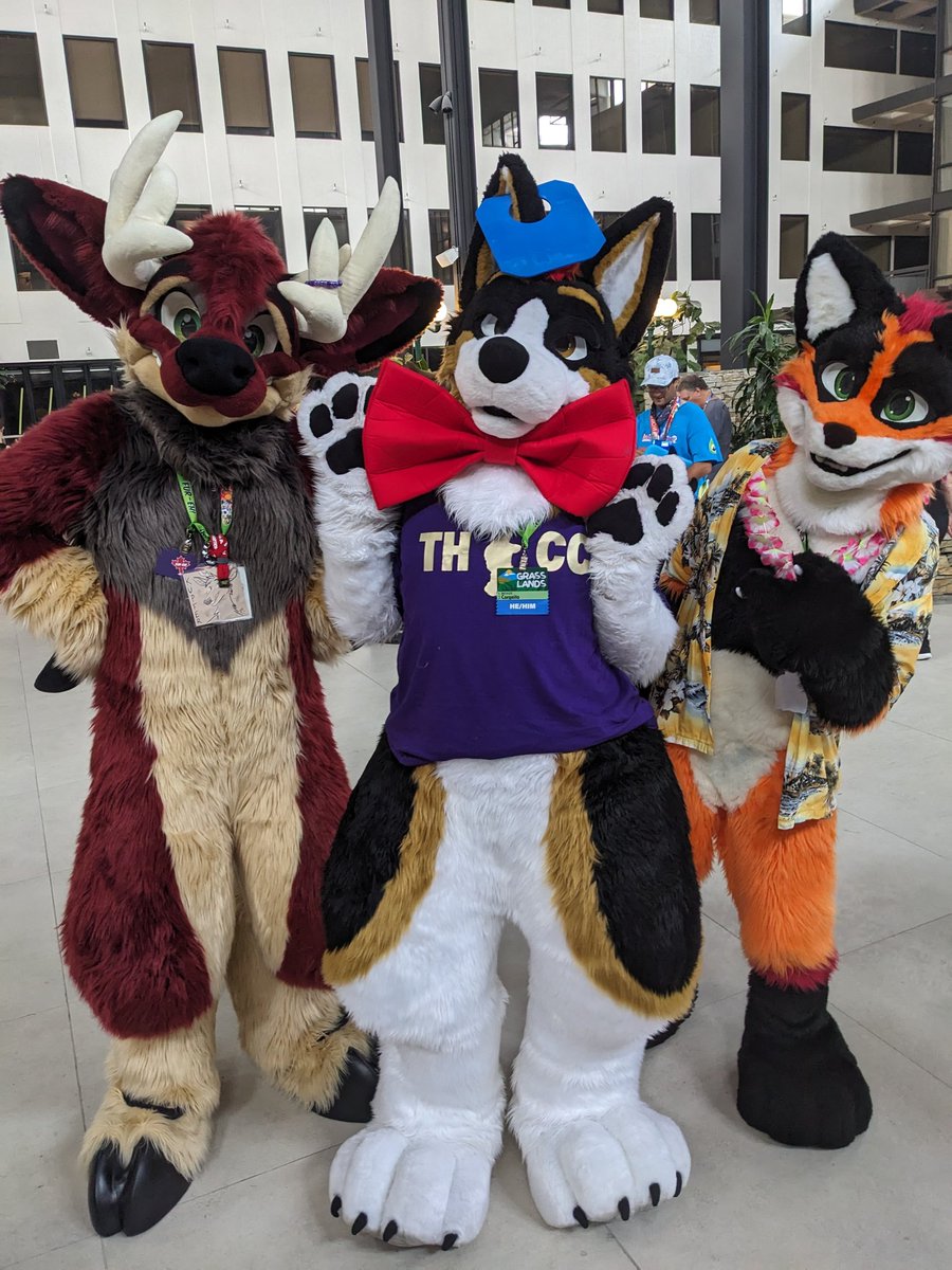 Been a moment since I posted something for #FursuitFriday but we just had FurEh so here's me looking super dapper with @KupferDurr's bowtie, with guest star <a href="/ChaseRedFox/">Chase the Fox</a>

Swag bread tie earring by <a href="/SparxWuff/">bsky: @sparxwuff.com</a> 
Wonderful Thicc shirt by me and <a href="/FlamingPaw/">FlamingPaw</a>