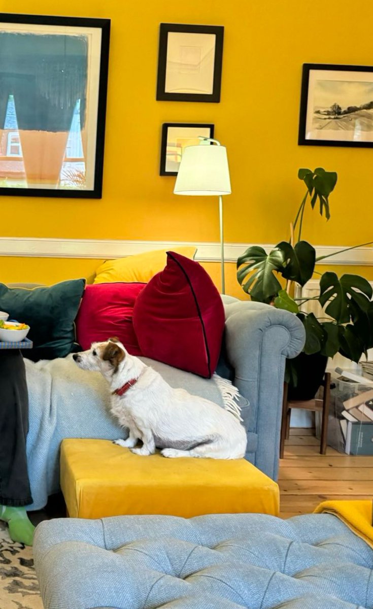 Prof Ian Rivers (he/him) ๐ณ๏ธโ๐๐ช๐บ๐บ๐ฆ (@ian_rivers) on Twitter photo Long couple of weeks, Jill had to have surgery and did not do well in recovery. Was not eating and she was often sick. However two days ago we turned a corner, and sheโs eating againโฆ.and with gustoโฆ.so here she is watching others eat with a great deal of interest! Long couple of weeks, Jill had to have surgery and did not do well in recovery. Was not eating and she was often sick. However two days ago we turned a corner, and sheโs eating againโฆ.and with gustoโฆ.so here she is watching others eat with a great deal of interest!