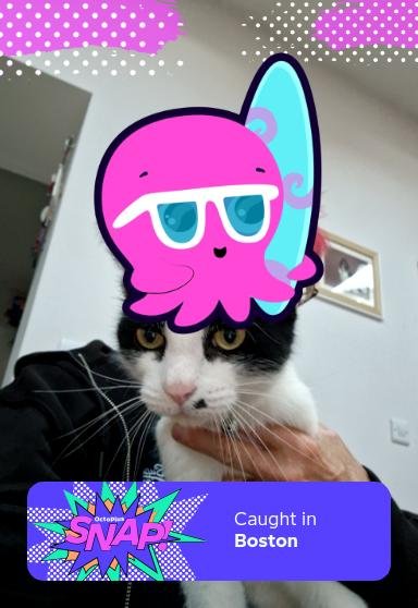 #OctopusSNAP