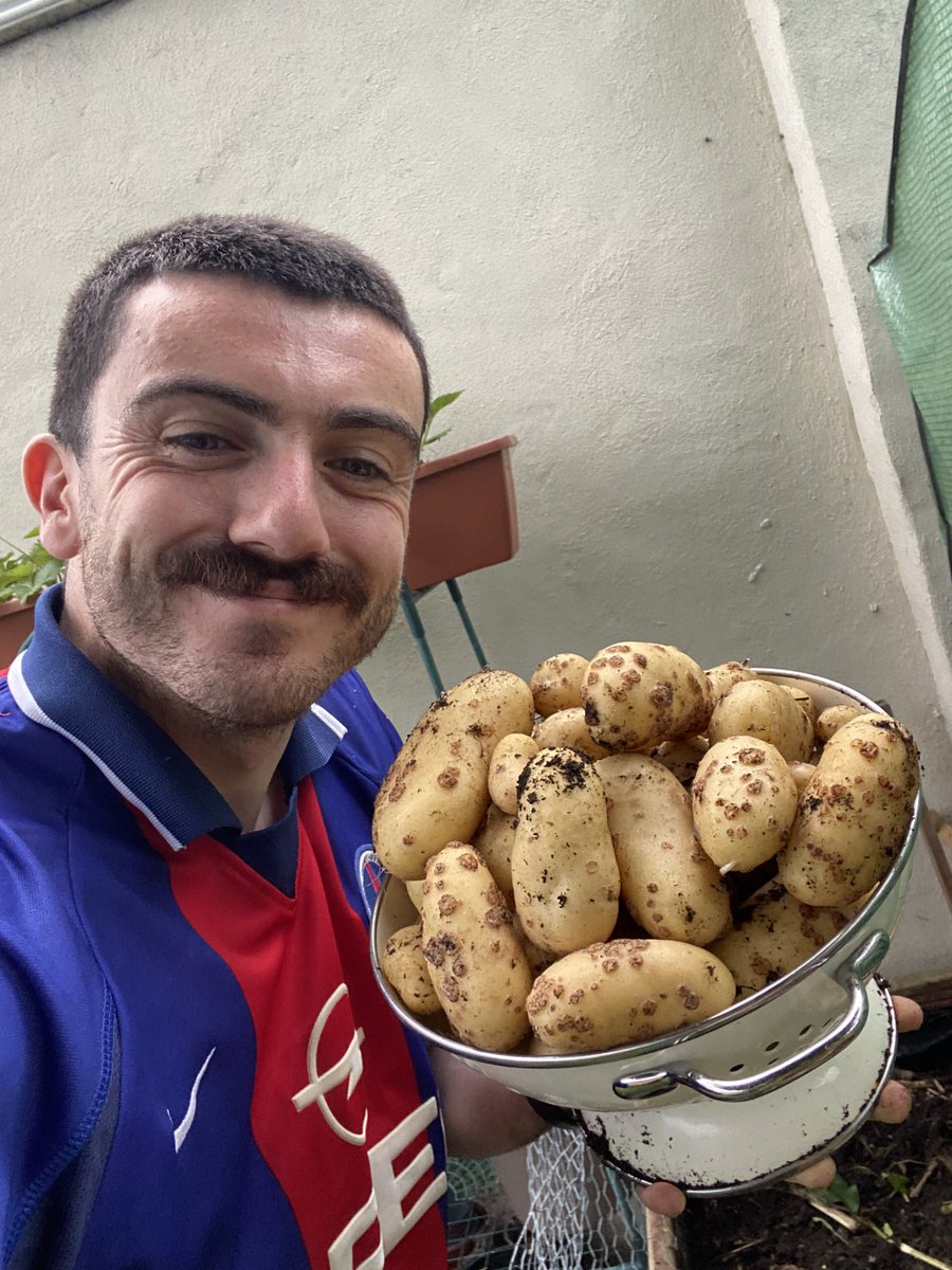 Murphy grew Spuds