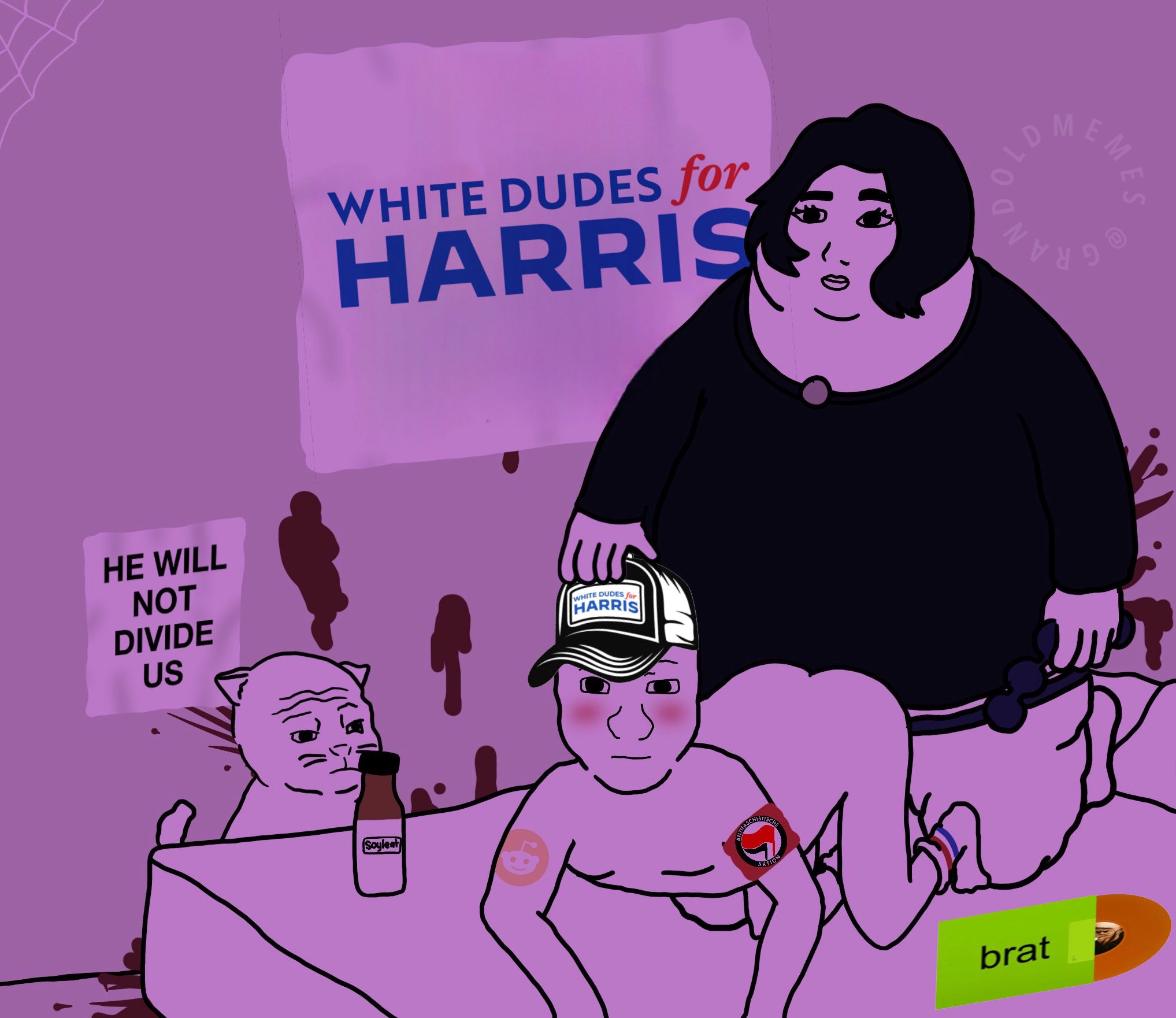 JosiahRises ? on X: If you're a white dude voting for Harris, just know  this is how the men think about you. https://t.co/2medYDYeKz / X