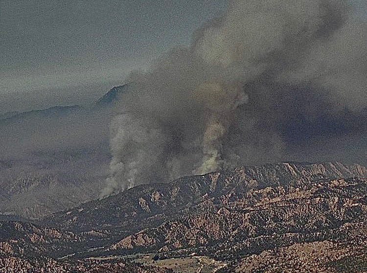 LosPadresNF's tweet photo. #ApacheFire 1551 acres. Firefighters made great progress yesterday catching the fire as it pushed southeast. Little to no fire spread overnight. Today, crews will be securing line in steep terrain where the fire is currently hung up. Potential for roll-out is the primary concern https://t.co/QW8ertNhtc
