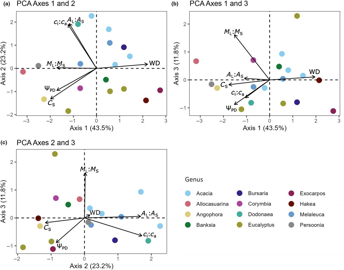 New Phytologist tweet media