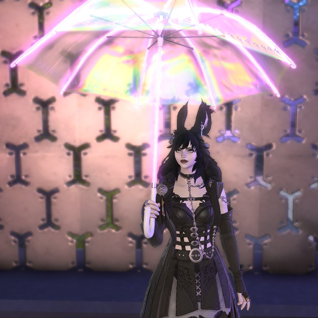 gem 🦇 tweet media