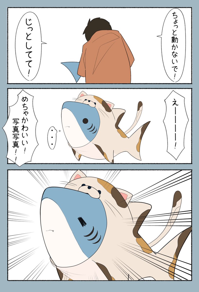 さめと着ぐるみ 