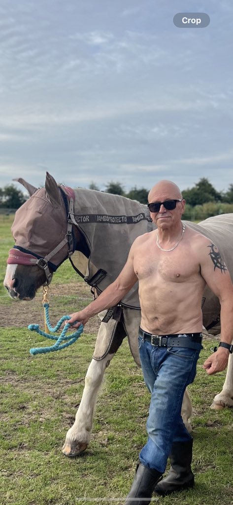 𝕾𝖙𝖚𝖆𝖗𝖙 𝕲𝖗𝖊𝖊𝖓 tweet media