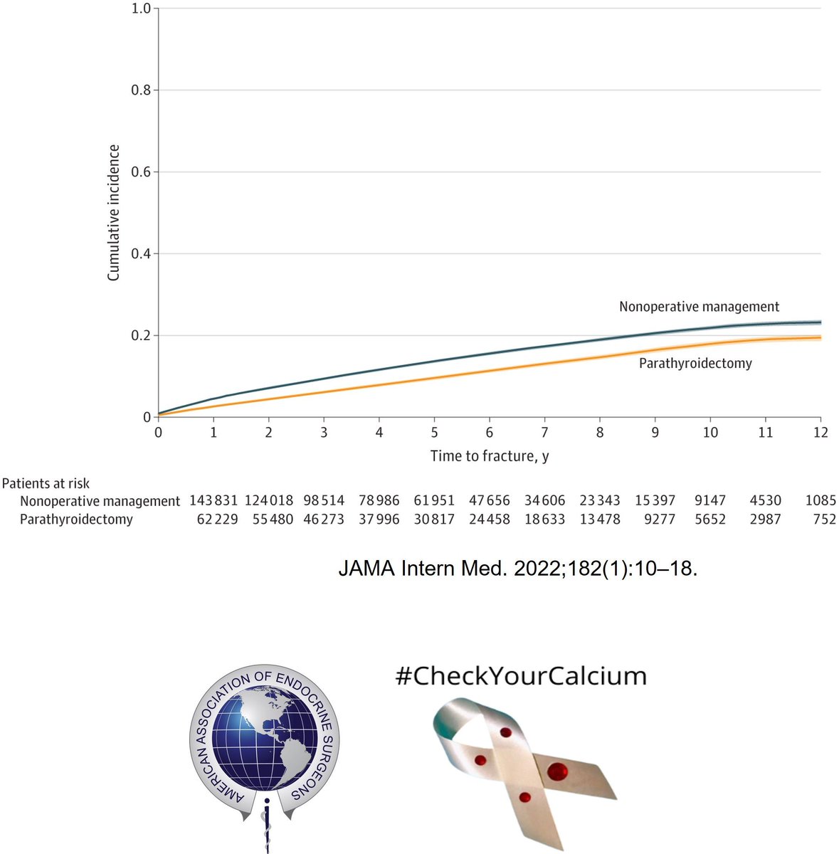 TheAAES's tweet photo. Osteoporosis increases the risk of bone fracture. Older adults with primary hyperparathyroidism who have parathyroidectomy have a lower risk of hip and other fractures compared to those who do not have surgery. #CheckYourCalcium #PAM2024 @TheAACE @ParaTroupers1 @TheEndoSociety https://t.co/coSqnyZC4p