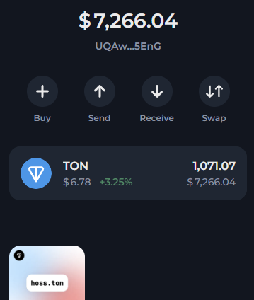 HOSS_ibc's tweet photo. TON Giveaway💎

If $TON hits 7 dollars by the end of today(Friday) I will give 1 lucky winner 7 TON

To Enter:
🎰Must be following ME
🎰Like+RT
🎰Tag 2 Frens  

GOOD LUCK ☘️ https://t.co/jc67x0XVA8