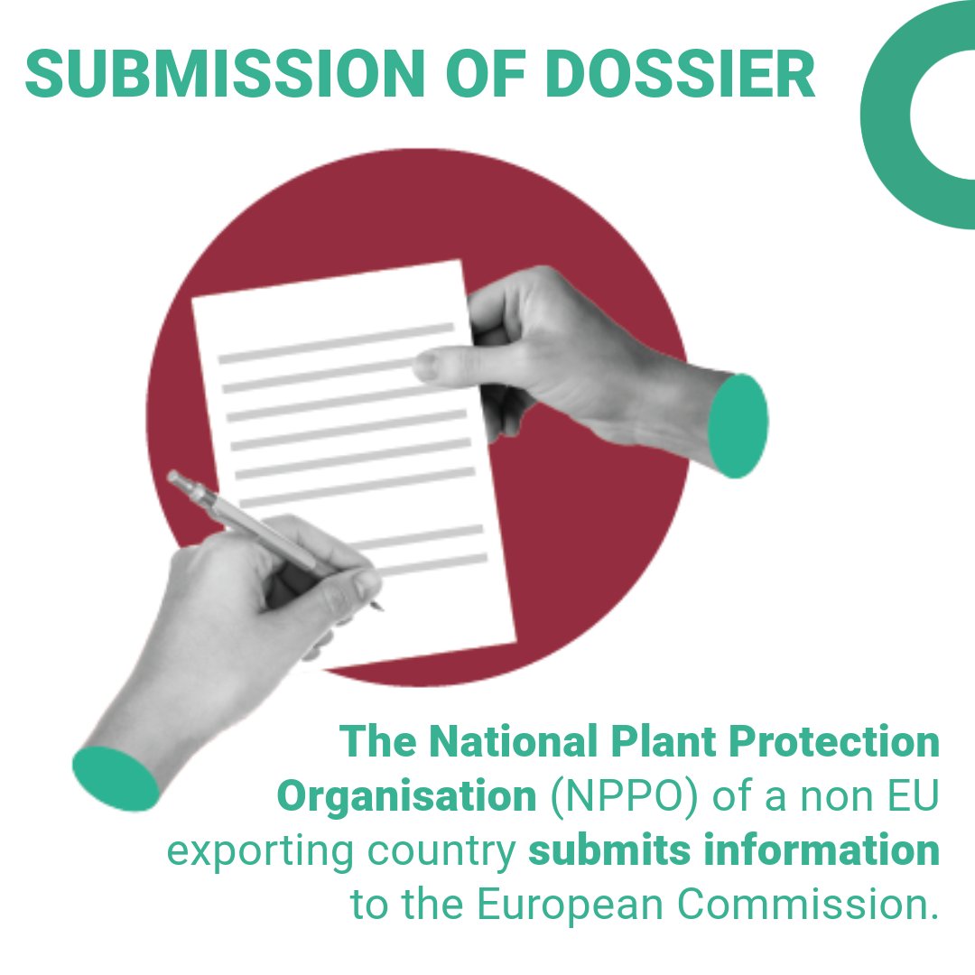 EFSA_EU's tweet photo. 1/2 🌱 How do we make sure that plants imported into the EU are safe?

We've broken down the process of commodity risk assessment for plant health risks in a 🆕 infographic!

🔖Available in English, Español, Deutsch, Français, Italiano at https://t.co/0ZhsIun5LE

#PlantHealth https://t.co/2lT8Tp2ebY