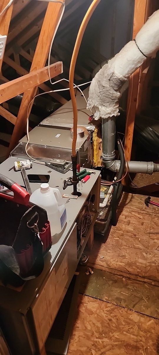 Crash Nebula🦧 tweet media