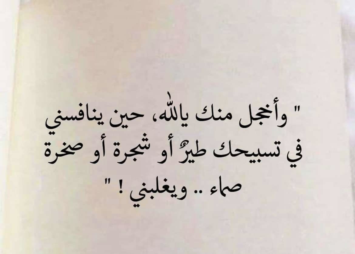 محمد عبدالستار tweet media