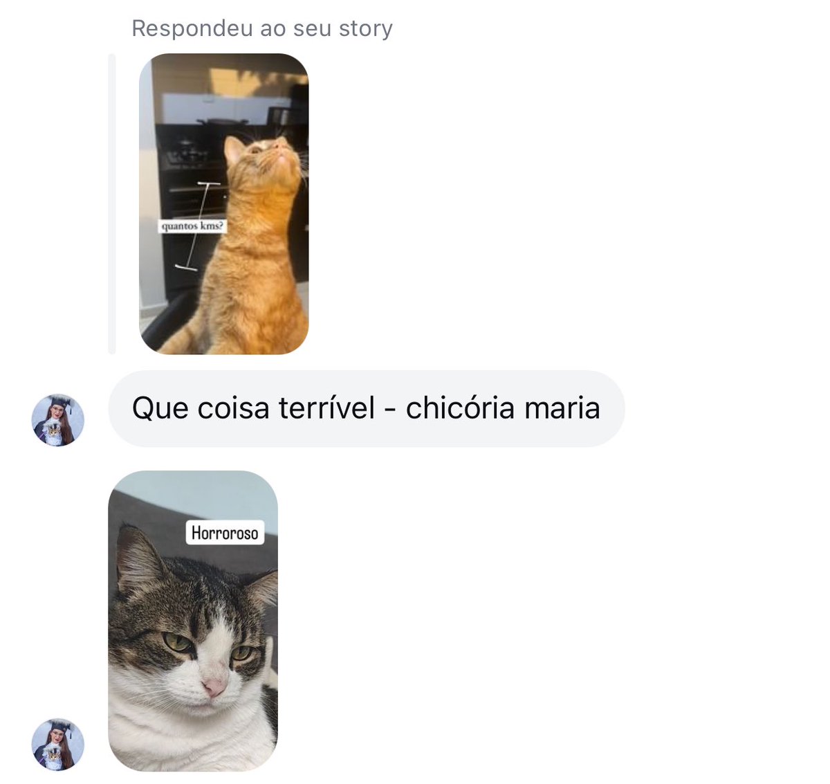 wtfmiu's tweet image. não precisa ficar com inveja @chicorinha_ ele divide contigo