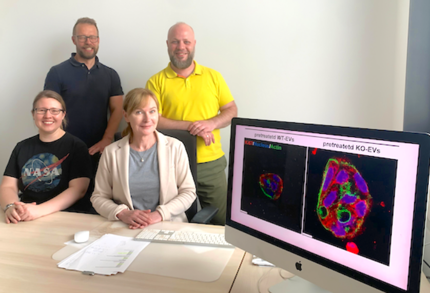hoph_ffm's tweet photo. Eine Forschungsgruppe der @Uni_MR, unter der Leitung von Prof. Dr. Elke Pogge von Strandmann, hat herausgefunden, dass mit dem vermehrten Auftreten von Immun- und Mastzellen in #Bauchspeicheldrüsentumoren, sich das Überleben der Betroffenen verkürzt.

👉https://t.co/No1qNGSvXI https://t.co/qVeBgTN2jc