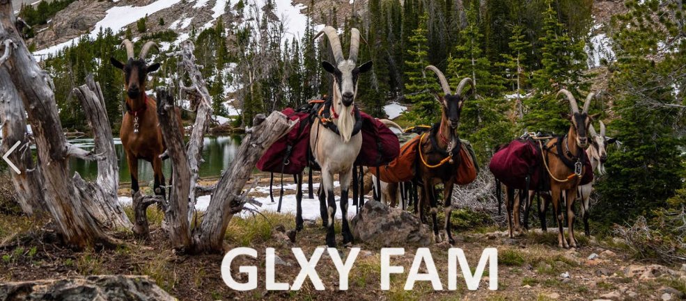 hdcharting's tweet photo. @daawwggyy Thank you SunTan!!
#GoatPack
$GLXY https://t.co/rcPpEA5RdP