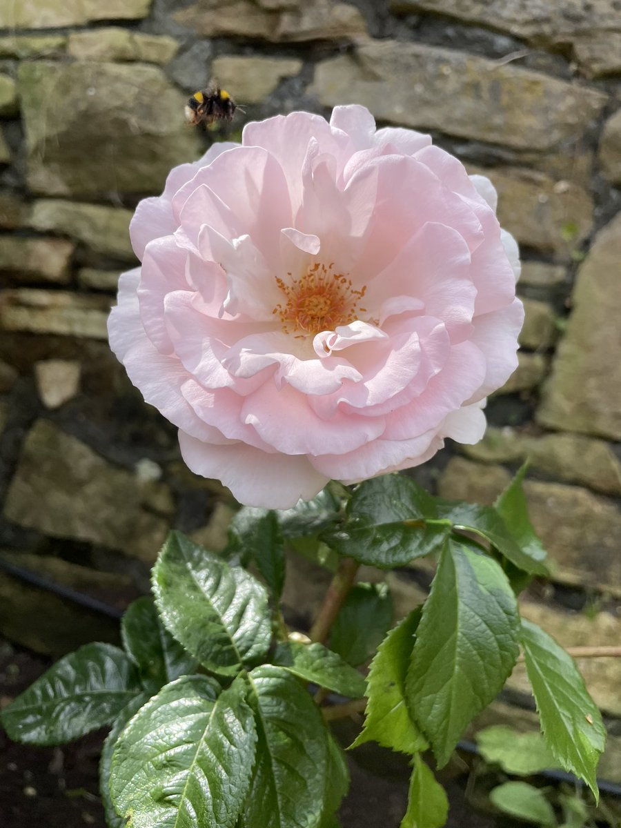 WaveAtTheTrain tweet media