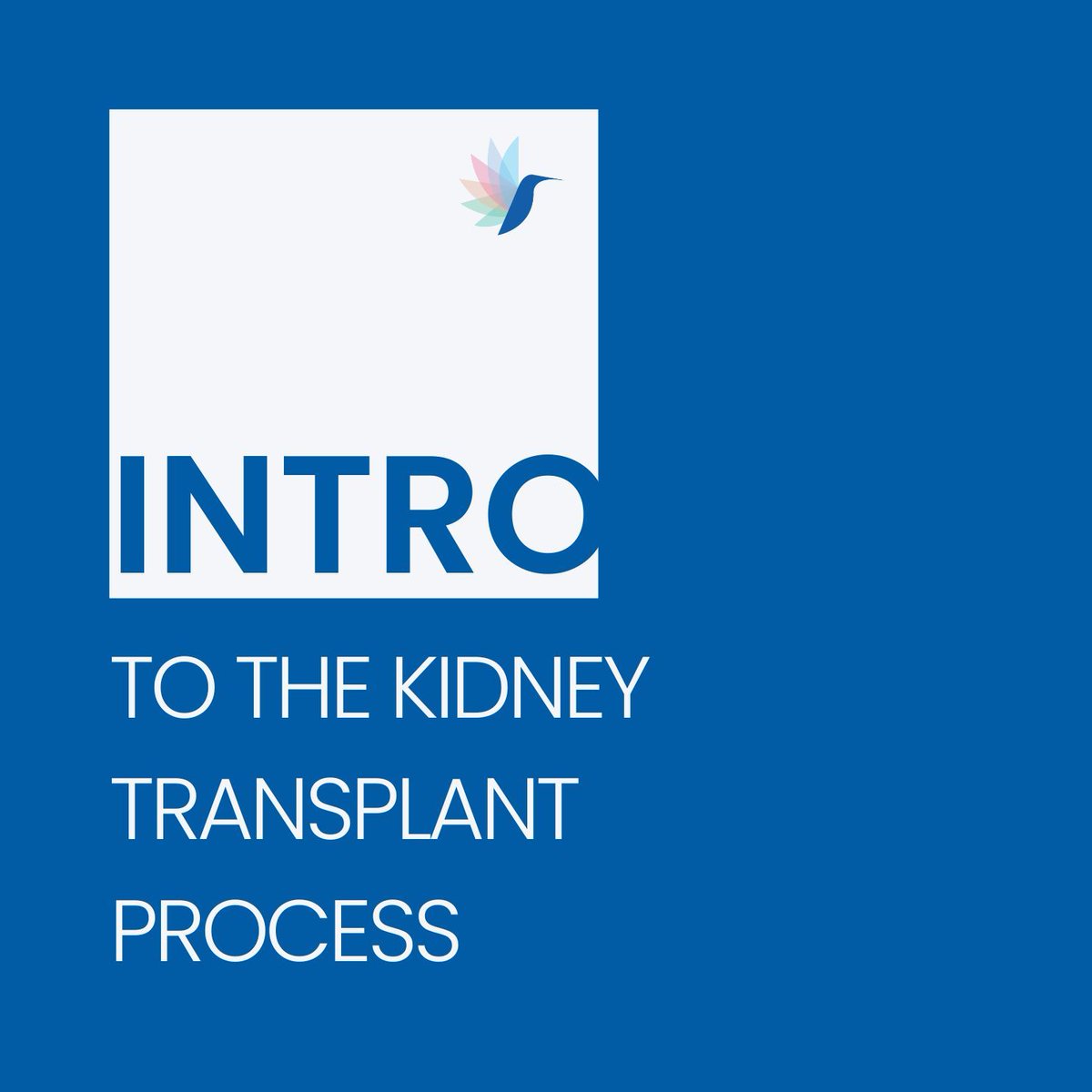 Responsum for Chronic Kidney Disease tweet media