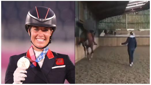 YoAmoaLaCiencia's tweet photo. 24 azotes en menos de un minuto.

Charlotte Dujardin fue captada durante un "entrenamiento" azotando a su caballo, por lo que fue retirada de las competencias de París 2024.

Sin embargo, la diferencia con otros competidores es que ella fue puesta en evidencia.

Los deportes ecuestres en los Juegos Olímpicos son maltrato animal.

La doma, una de las categorías de las "competencias hípicas", se trata básicamente de anular todo comportamiento animal y natural del caballo, sometiéndolo a la voluntad del jinete.

Un caballo, por naturaleza, no camina bailando o con pequeños saltos, no agacha la cabeza y no limita su movimiento por órdenes.

Un caballo, por naturaleza, no salta; son obligados a este comportamiento a base de un adiestramiento con castigo.

No, no hay motivo para perpetuar esta clase de crueldad animal en competencias deportivas.