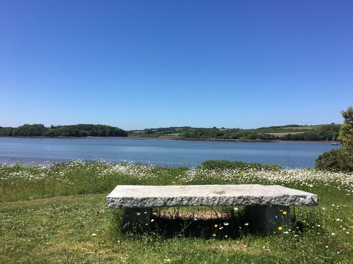 🌞🌿 Ready for a weekend escape? Discover the enchanting Antony Woodland Garden! Stroll by the river, soak up the sunshine, and marvel at the blooming hydrangeas. It's the perfect way to capture that #FridayFeeling. See you there! 🌸✨ #DaysOutCornwall #WeekendPlans #Cornwall