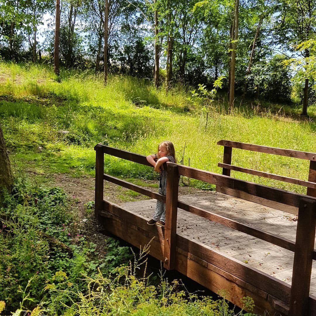 Antony_Estate's tweet photo. 🌞🌿 Ready for a weekend escape? Discover the enchanting Antony Woodland Garden! Stroll by the river, soak up the sunshine, and marvel at the blooming hydrangeas. It's the perfect way to capture that #FridayFeeling. See you there! 🌸✨ #DaysOutCornwall #WeekendPlans #Cornwall https://t.co/Rc0wSTnf8L