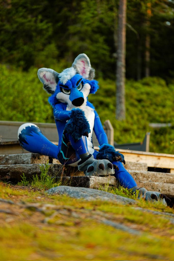 Looks like you caught a shiny fox in the woods, what should we do~  😏💙

📸Bitwolf (printed.pictures)