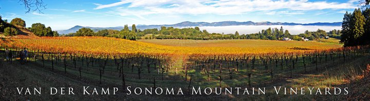 ilb013's tweet photo. @jamiegoode There are some beautiful vineyard scenes across Sonoma and Mendocino as well as Santa Cruz Mountains https://t.co/GGxnPjfzQY