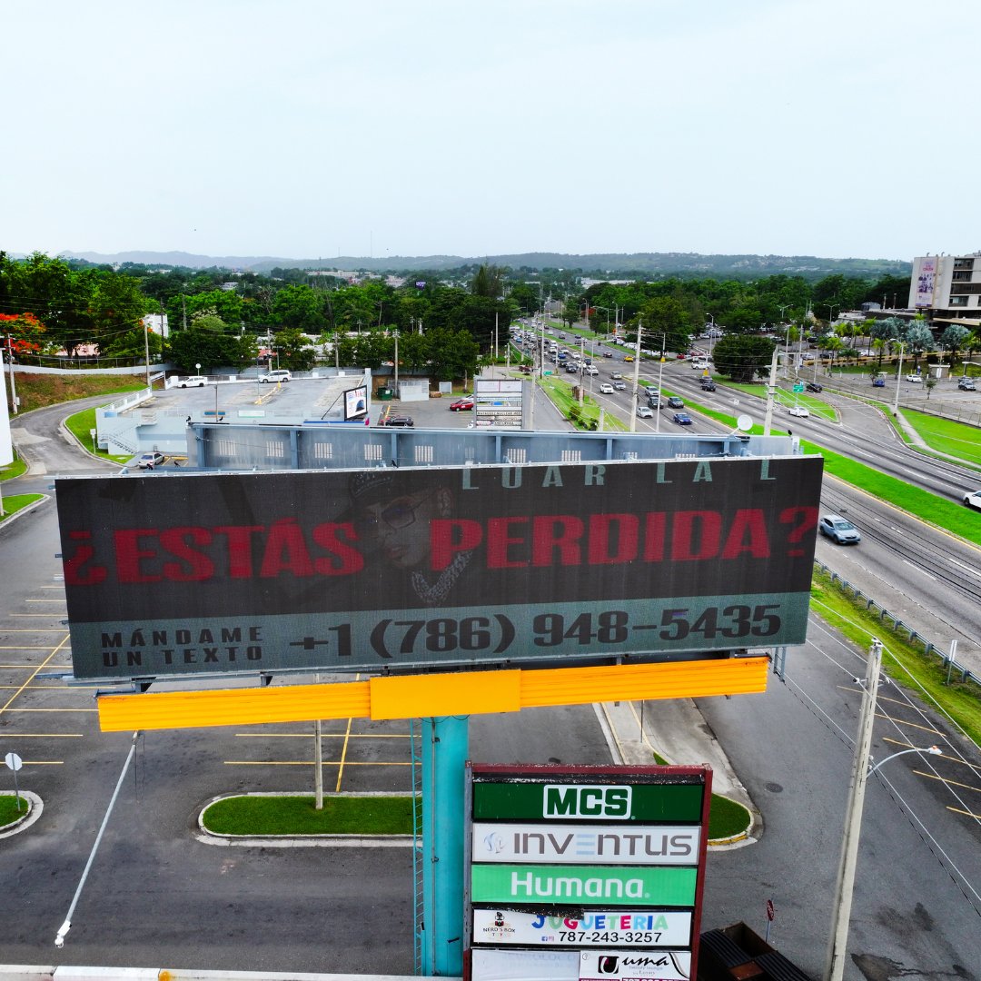 Ayelet Corona Agency - ACA Marketing tweet media