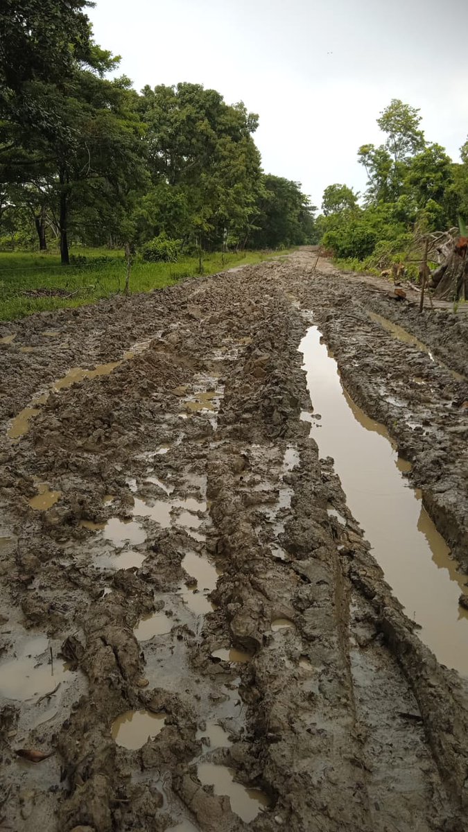 #LaMojanaEstáHerida 
Vía entre el Corregimiento de "La Palma" y la cabecera municipal del municipio de Sucre, será que no hay gobierno alguno que pueda mantener las vías en buen estado, para que los habitantes de la sufrida Mojana, puedan realizar sus actividades diarias ?