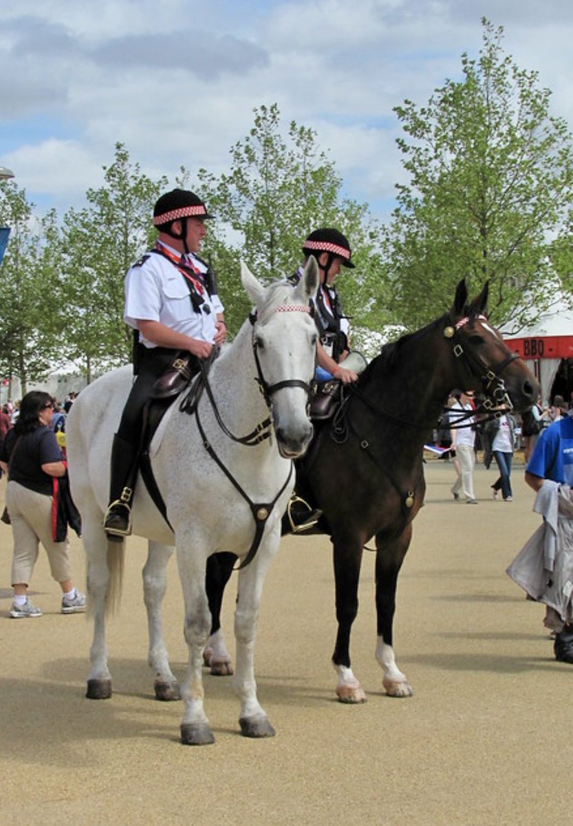 littledave72's tweet photo. Seems only fair on the Olympic Games Opening Ceremony Day, that I can share my time at the London 2012 Olympic Games with @CityHorses #PHBowron #PHLittleDave #Olympics #Olympic2024 #olympic2012 https://t.co/LYOVhCNCdC