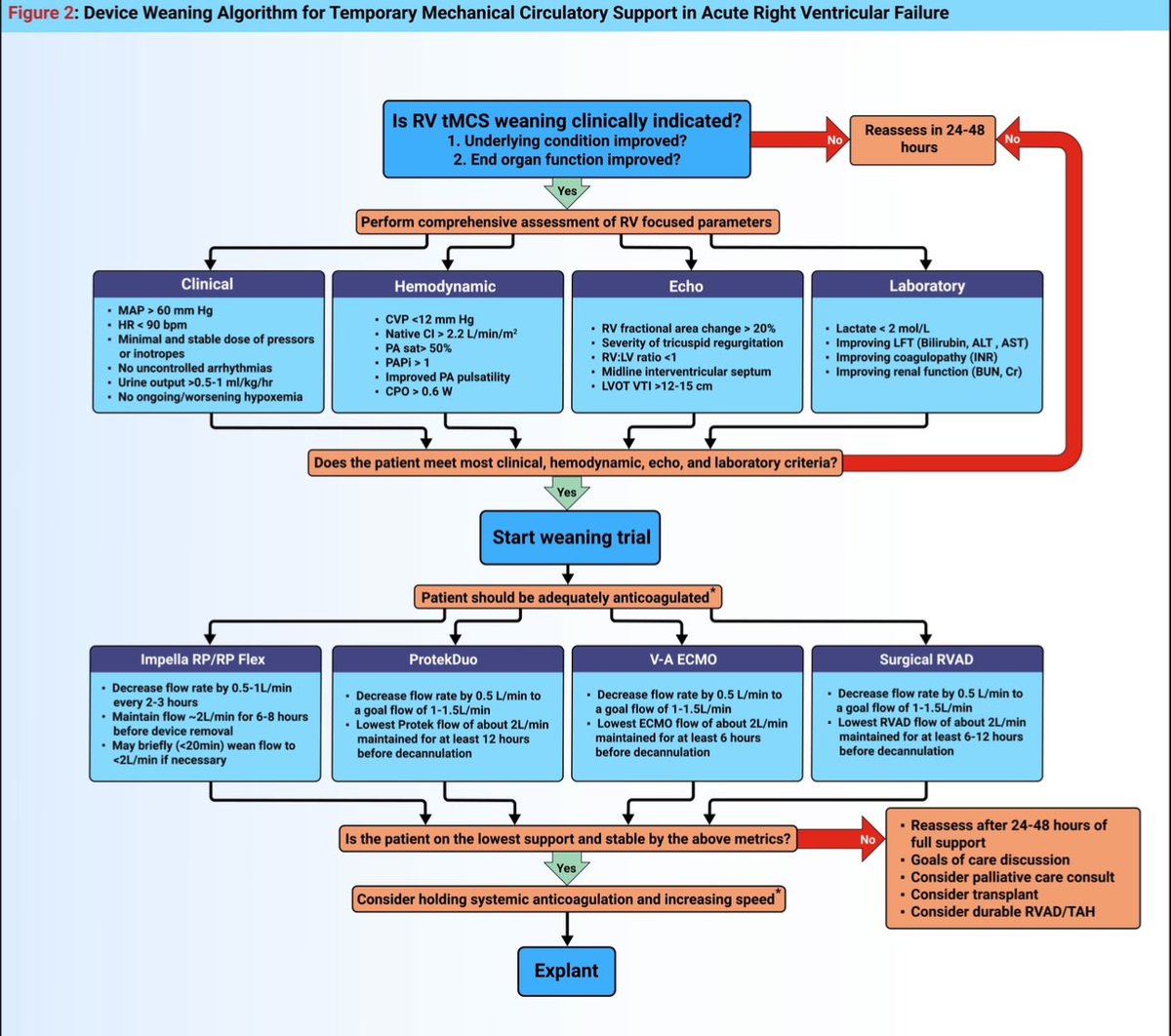 Kevin John John, MD MRCP (@drkevinjj) on Twitter photo Congratulations to <a href="/Carnicelli_Ant/">Anthony Carnicelli, MD FACC</a> and <a href="/manreetkanwar/">Manreet Kanwar</a> for leading this excellent review of RV tMCS! Read it here: jhltonline.org/article/S1053-… Congratulations to <a href="/Carnicelli_Ant/">Anthony Carnicelli, MD FACC</a> and <a href="/manreetkanwar/">Manreet Kanwar</a> for leading this excellent review of RV tMCS! Read it here: jhltonline.org/article/S1053-…