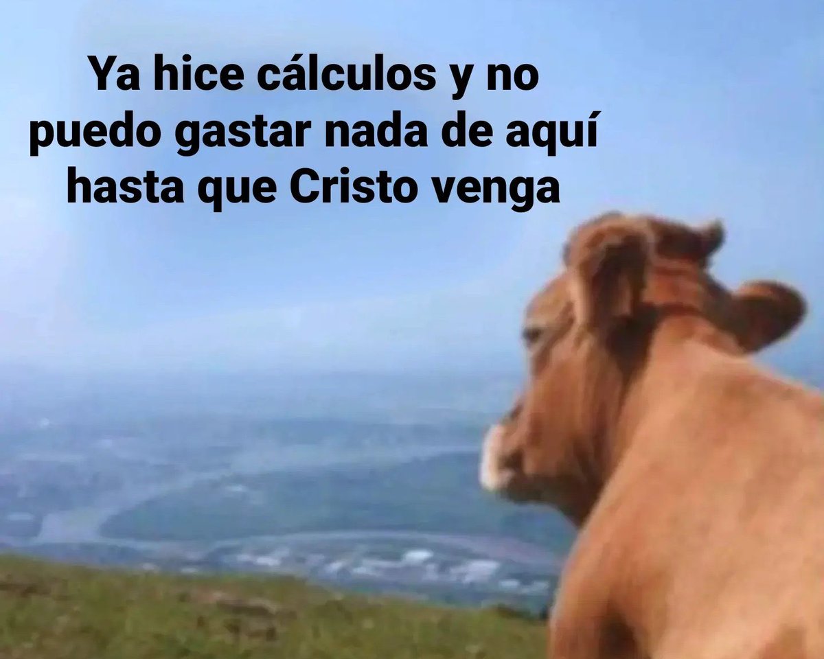 memefeos's tweet photo. https://t.co/FDeYMjtP75