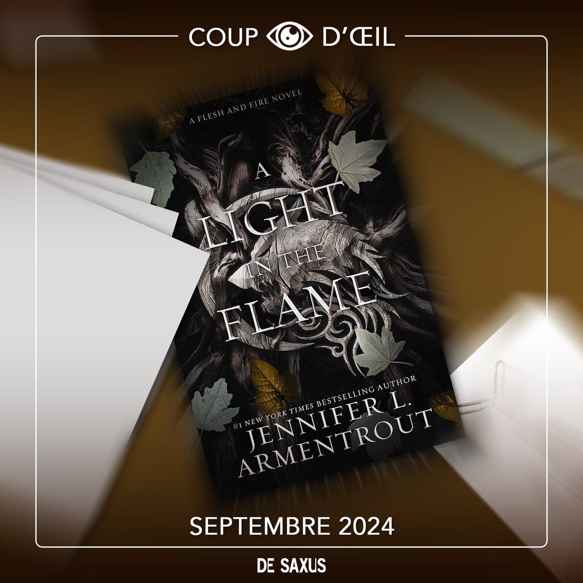 De Saxus (updates only). tweet media