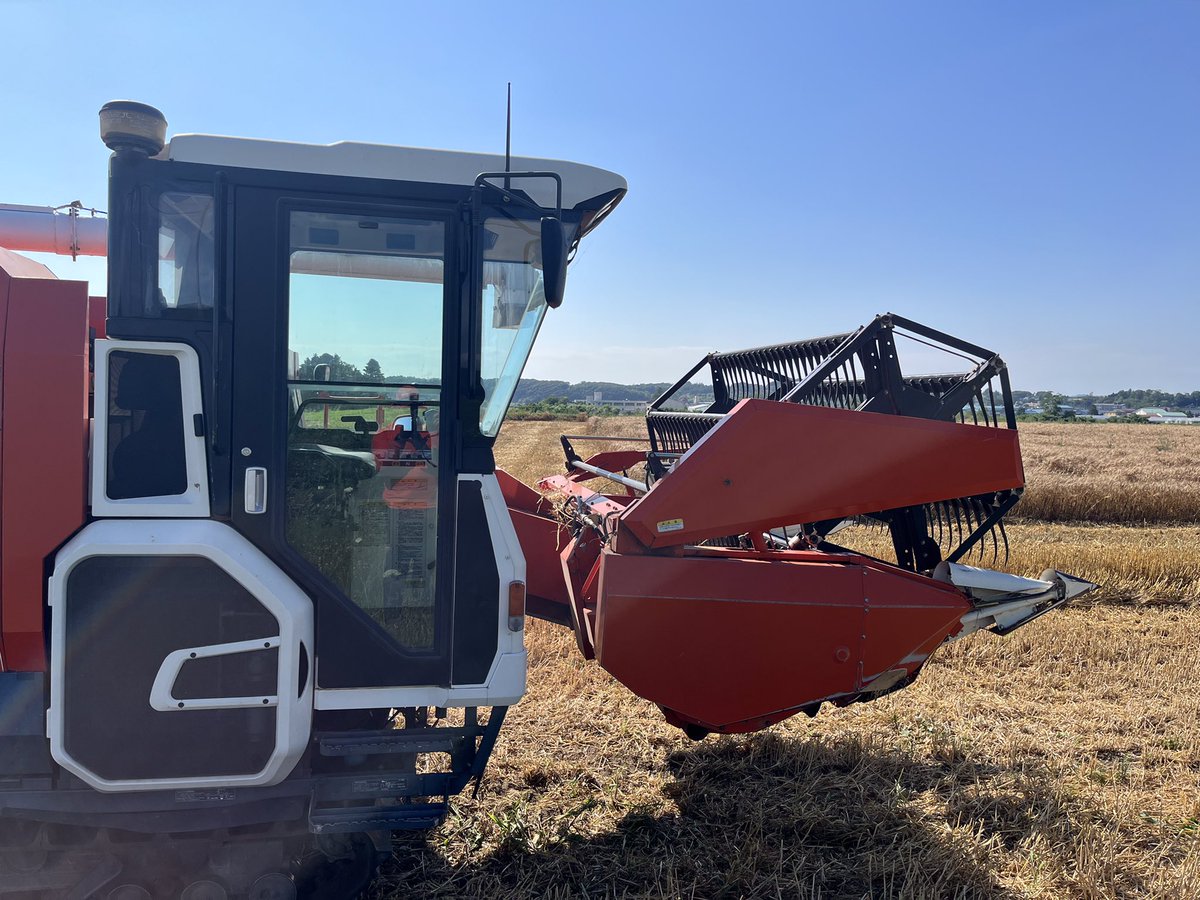 オジファーム ~アスパラガス~ tweet media