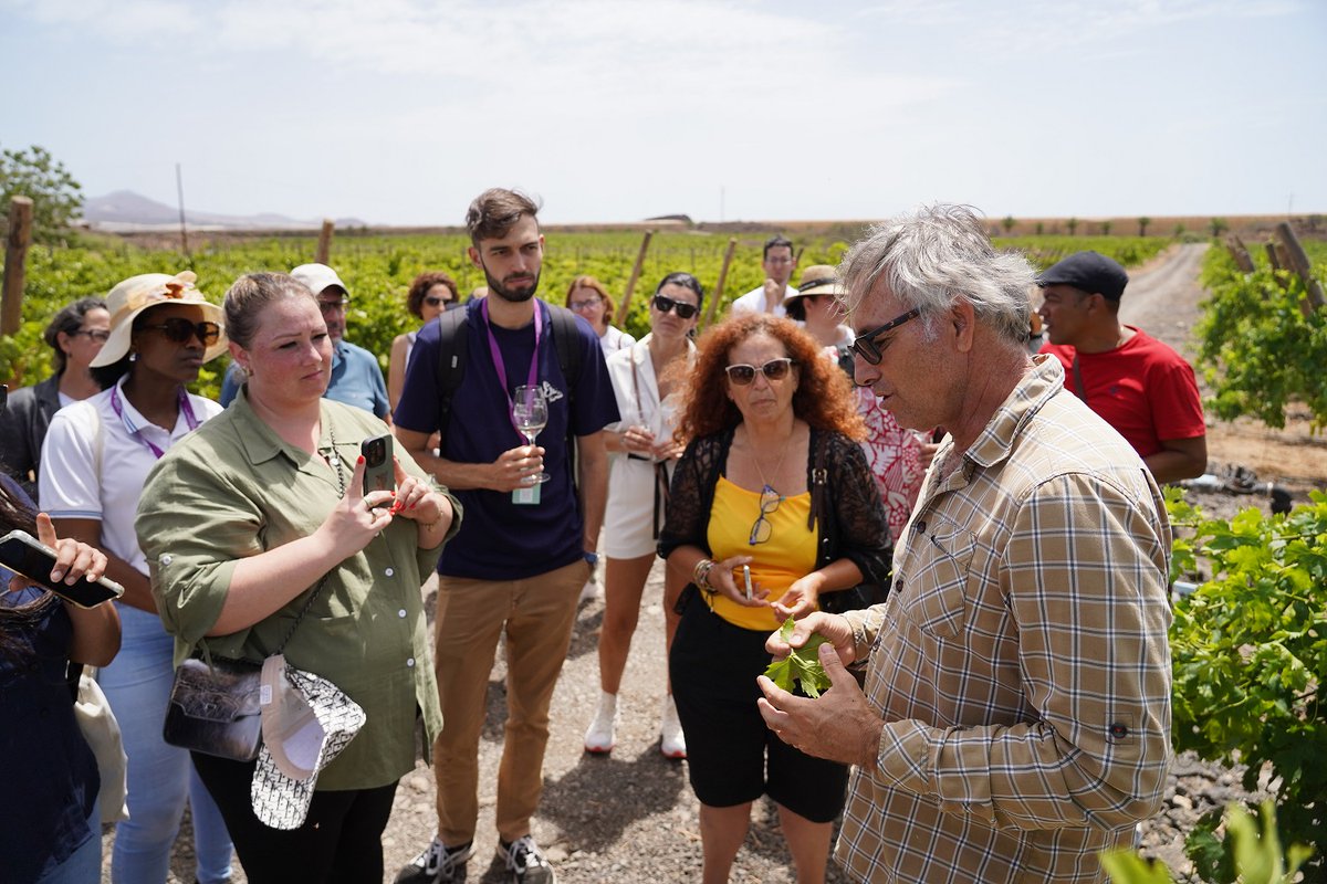 Cátedra de Agroturismo y Enoturismo de Canarias tweet media