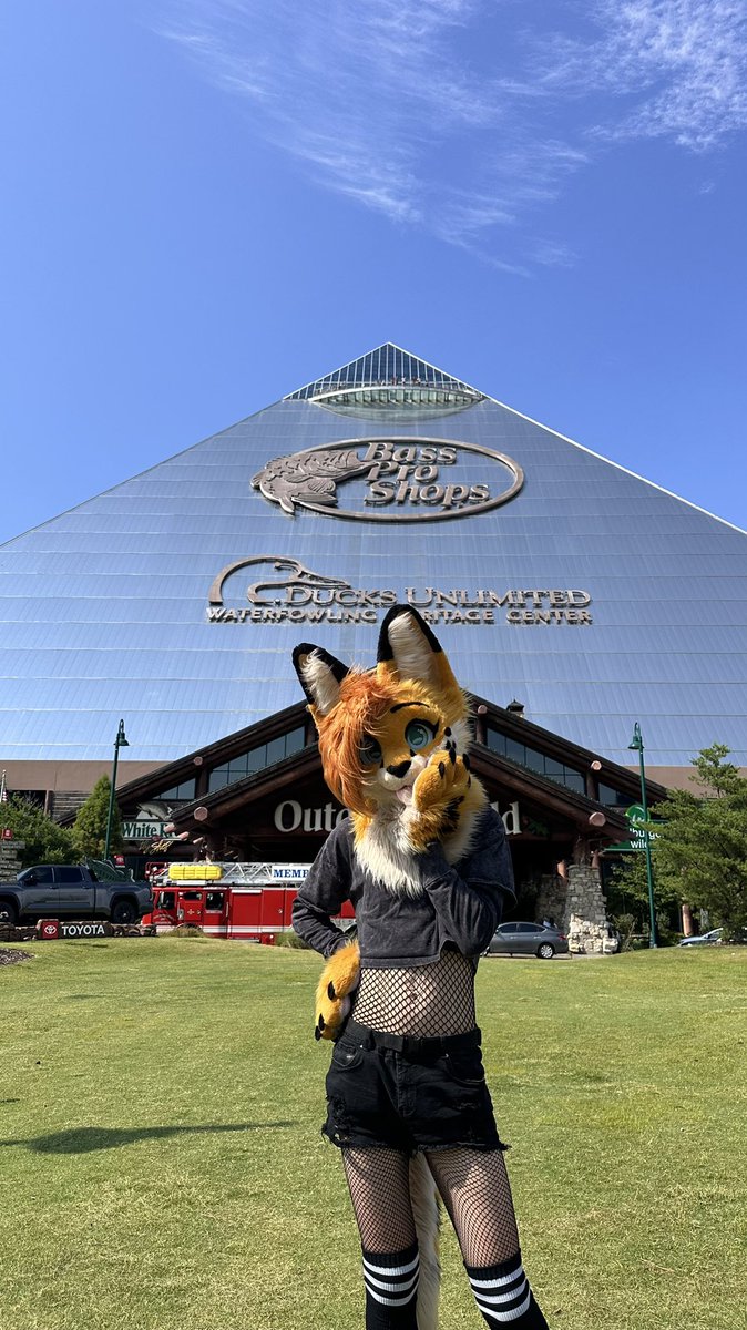 “We couldn’t recreate the pyramids today 🤓” uhh we literally did and we put a Bass Pro Shop inside of it #FursuitFriday 

📸 - <a href="/ChocoWaffls/">Choco</a>