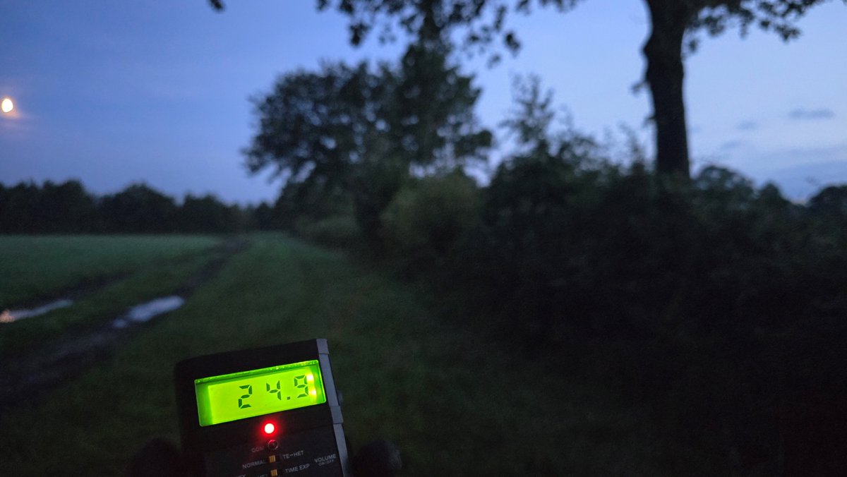 Vereniging NFW tweet media