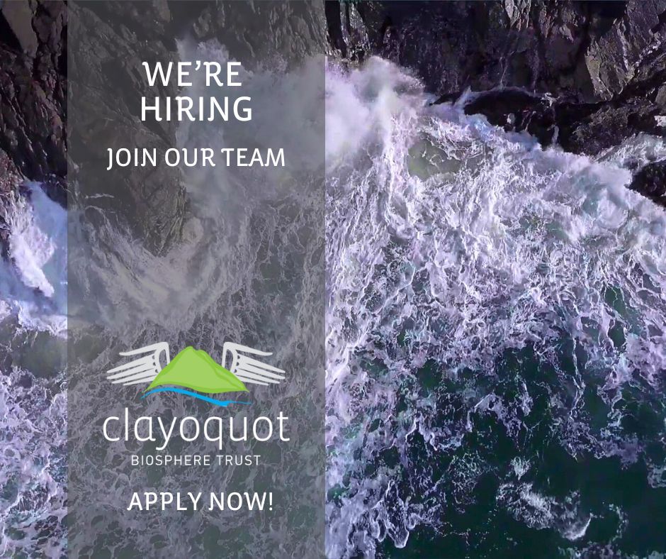 🚀🙋‍ Join our team! We're looking for an Executive and Finance Assistant. Check out the full job description and application details in the link below. 

We look forward to hearing from you!

buff.ly/4bXqKcn