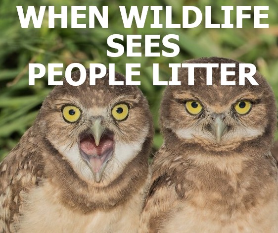 🏅With Olympic viewing parties and Folk Fest, it looks like downtown YYC is gonna be bumpin’!🎶

So this weekend – and every other day—remember: only hosers leave litter. 

😘 (And please, please, please soak those cigarette butts and toss them in the trash!) 🚬