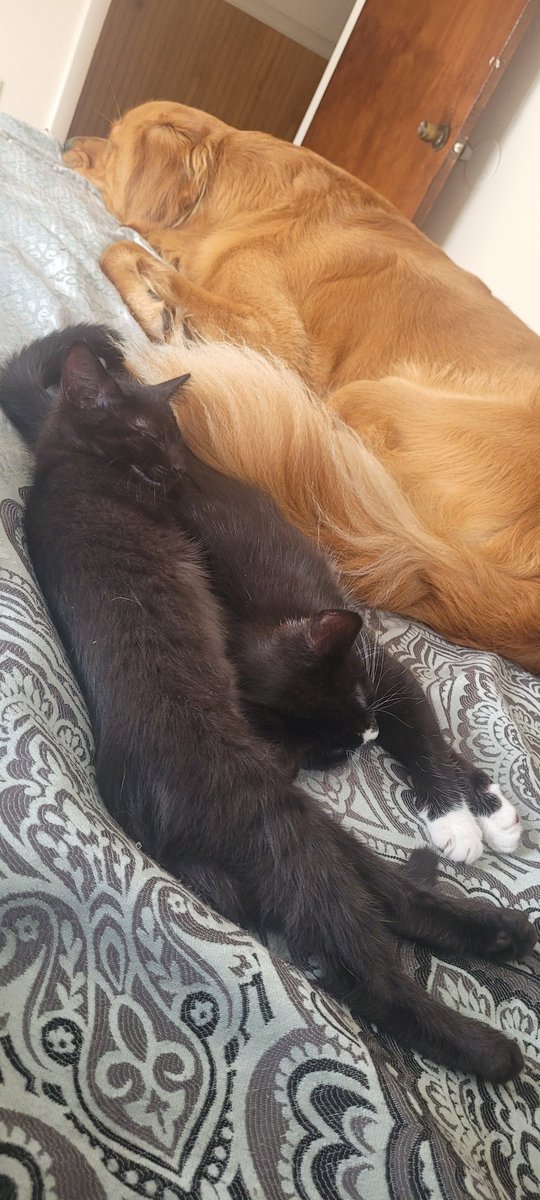 Bacon4EverEver tweet media