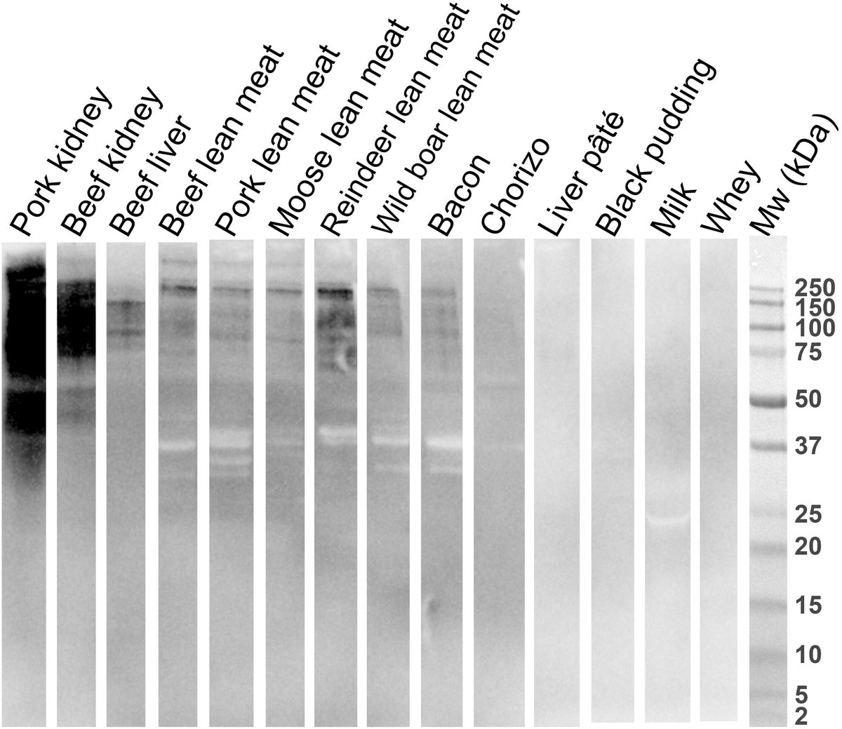 Aller_MD's tweet photo. #Allergenic potency of various #foods of mammalian origin in patients with #α-Gal syndrome: even processed mammalian #meat constitutes a risk and #dairy products show the lowest risk.
https://t.co/oD2smeRcco https://t.co/99iZgx7QtG