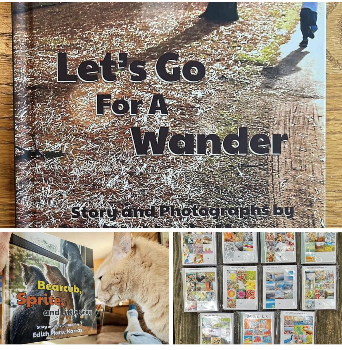 photosbyedie's tweet image. I will be exhibiting at the Powderhorn Art Fair a week from tomorrow in the Community Showcase section booth 189. Also, I’ve been dubbed “the notecard lady”. I like it. I’m keeping it. #powderhorn #artfair #supportlocal #photoartwork #photoartist #emkarts #notecards #sendacard