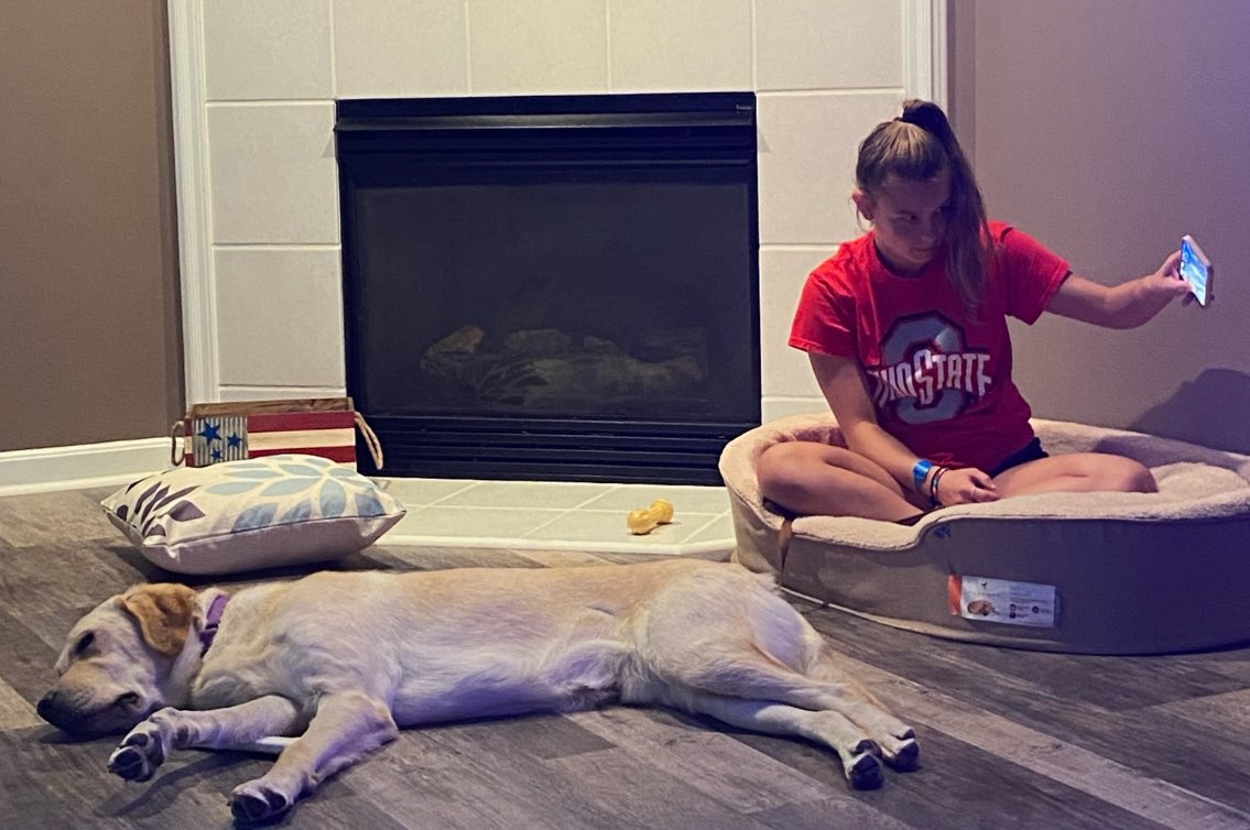 Hard to believe we have had <a href="/Sabin_MJHS/">Sabin</a> in our house for 3 years. He is smart, loveable, and dedicated to his mission from <a href="/circletail/">Circle Tail, Inc.</a> - cheers to year 4 with <a href="/MJHS_Goetz/">Misty Goetz</a> @MjhToddwells @MJHS_Ferguson at Milford Junior High School  and of course his favorite office aunties.