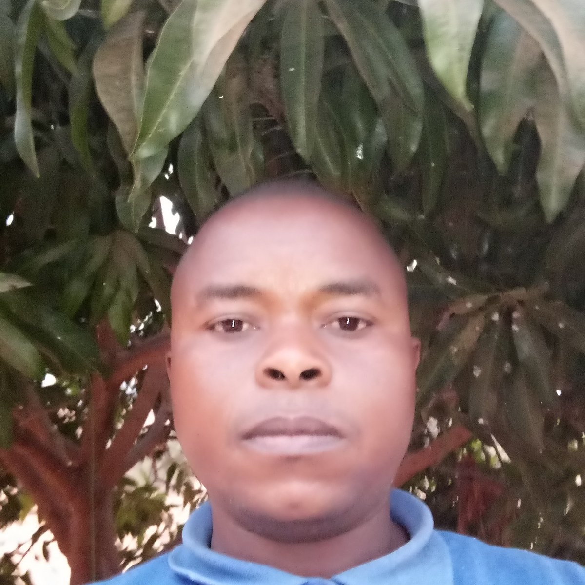 Merci seigneur pour cette nouvelle bougie dans vie, fut un certain 26/07 d'une année que j'ai vu le jour.