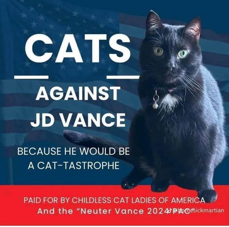 ElleLaw4's tweet photo. @bluhue123 #JDVanceMisogynist #WomenAgainstJDVance https://t.co/ijZBmIDaMY