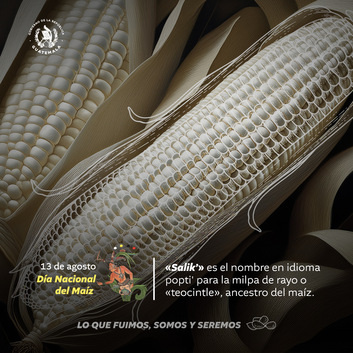 🌽 Lo que fuimos, lo que somos y seremos.
